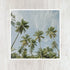 5x5 Palm Trees Art Print